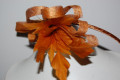 Headband wild golden headdress