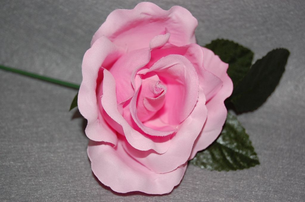 Flor pequeña rosa