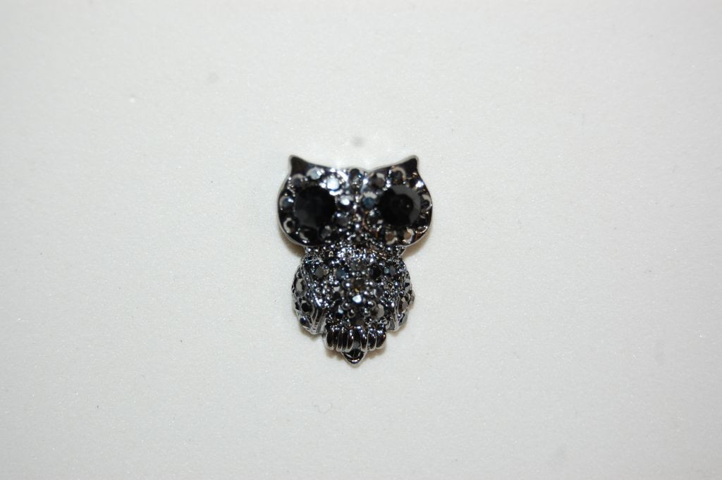 Titanium OWL earrings sparkles
