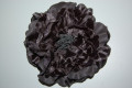 Flor Maravillas negra