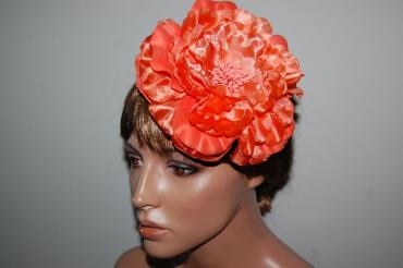 Orange flower wonders