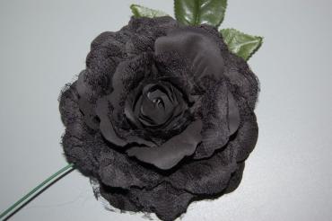 Flor abanico negra
