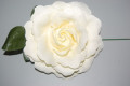 Flor Rosal beige