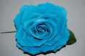 Flor Andaluz turquoise dark