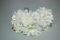 Set of 6 flowers ivory love