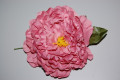 Flor gran Dalia rosa nude