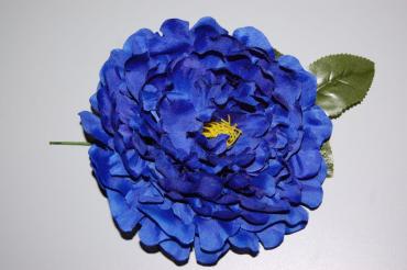 Great flower blue dahlia