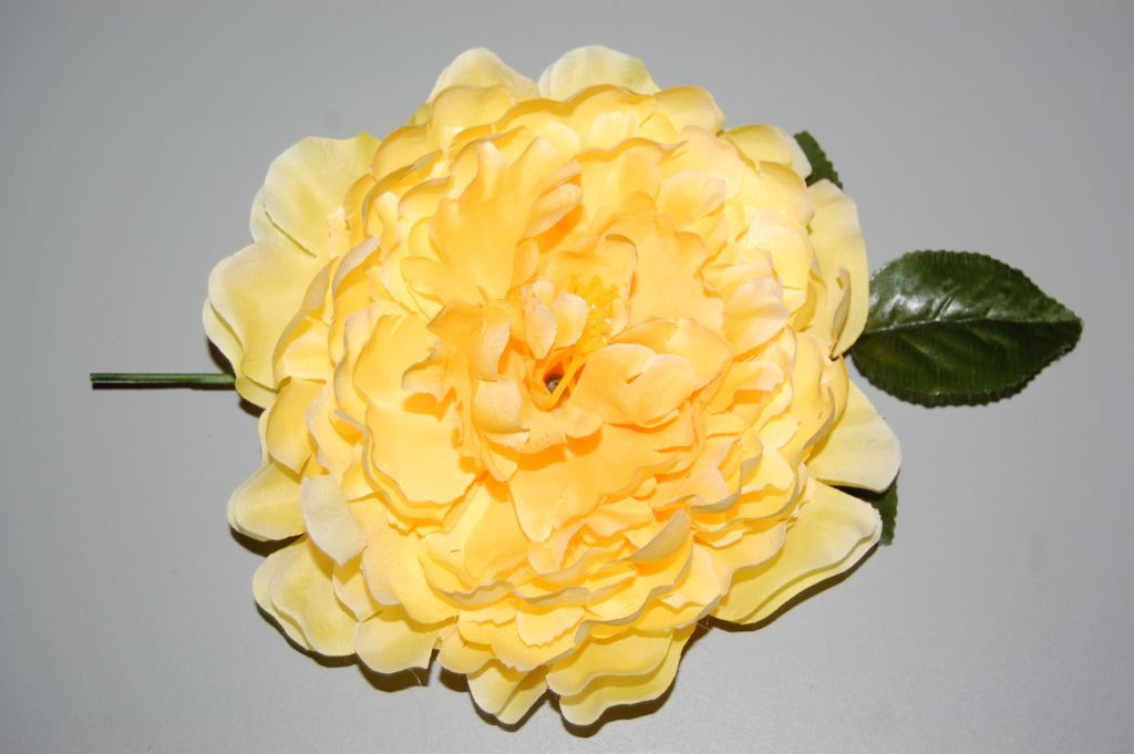 Flor gran Dalia amarilla