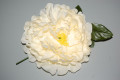 Flor gran Dalia beige