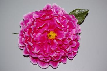 Flor gran Dalia fucsia-morado buganvilla