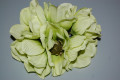 Bouquet spring pistachio