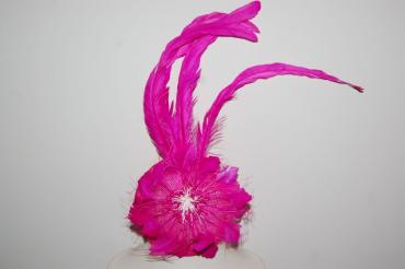 Headdress Fuchsia feathers Malvinas