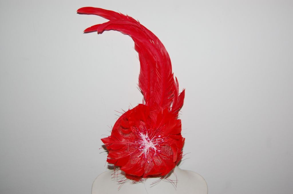Headdress of red feathers Malvinas