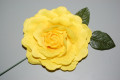 Flor Rosal amarilla