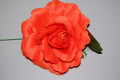 Flor Rosal Orange