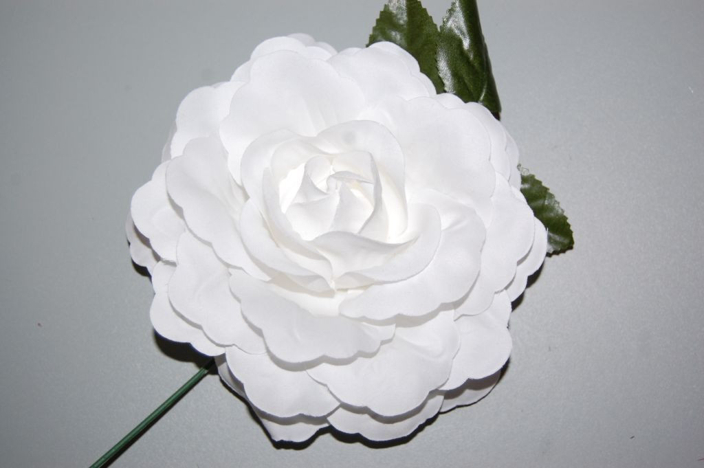 Flor blanca Rosal