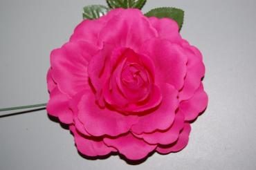 Flor Rosal fucsia