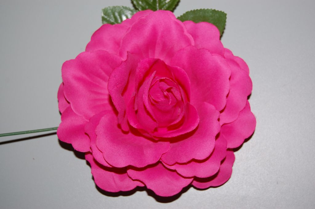 Flor Rosal fucsia