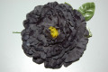 Great flower black dahlia