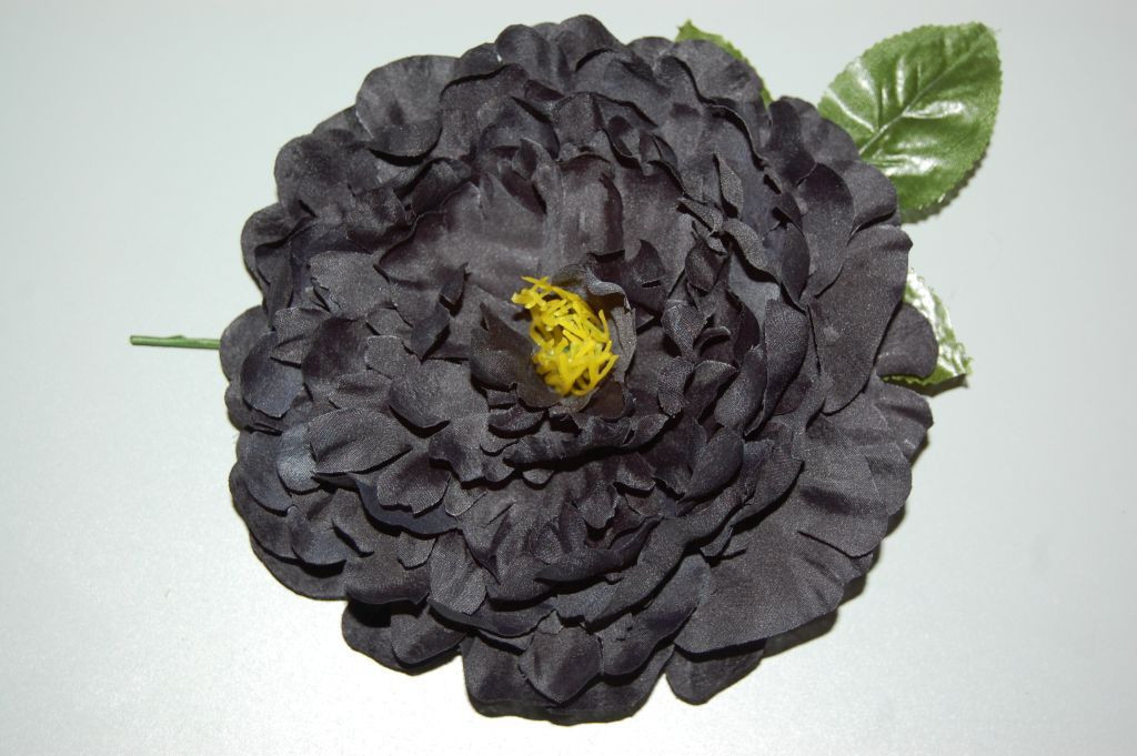 Flor gran Dalia negra