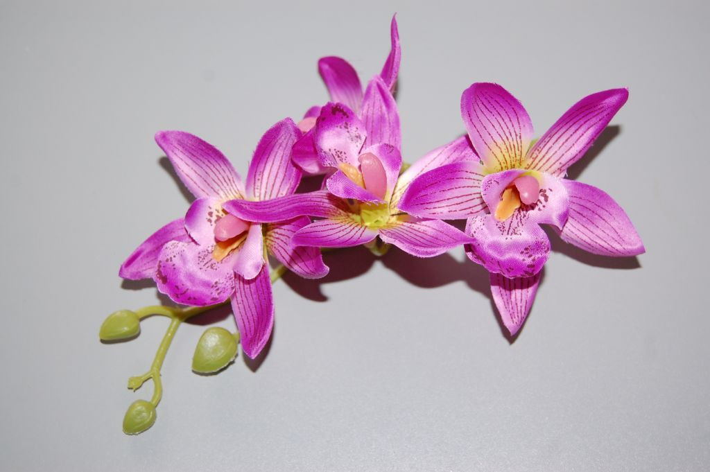 Ramillete bella orquidea morado