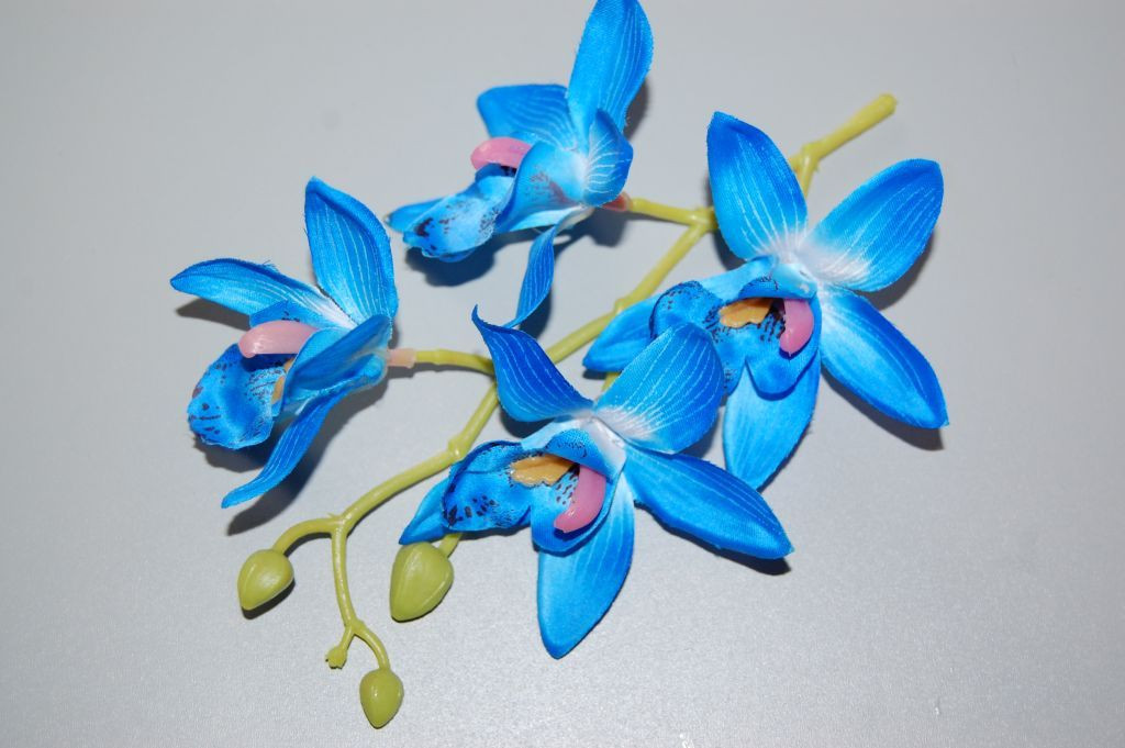 Ramillete bella orquidea azul