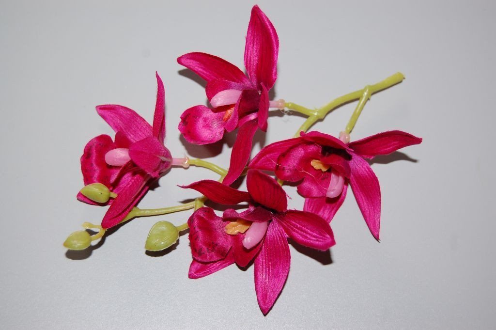 Ramillete bella orquidea fucsia buganvilla