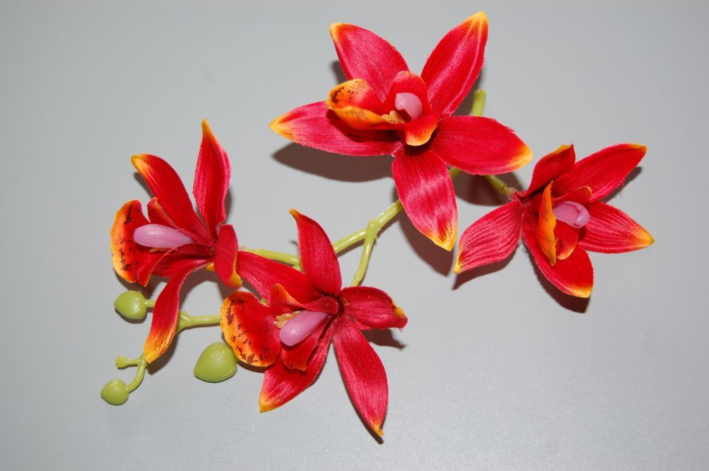 Ramillete bella orquidea rojo 