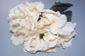 Ramillete de capuchinas beige