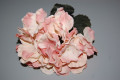 Bouquet of nasturtiums pink nude