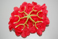 Corsage red Almonteño