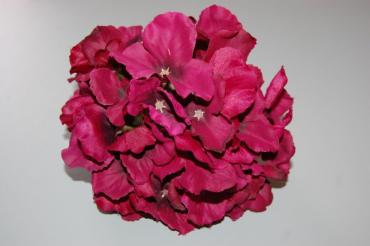 Bunch of Capuchin bougainvillea