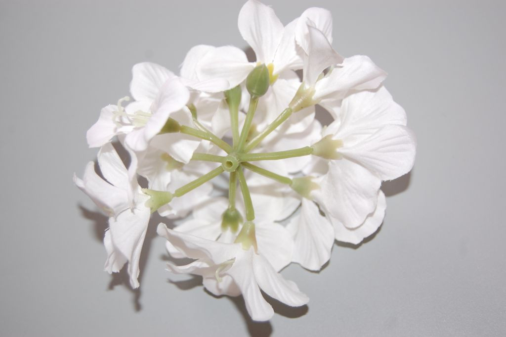 White bluebells corsages