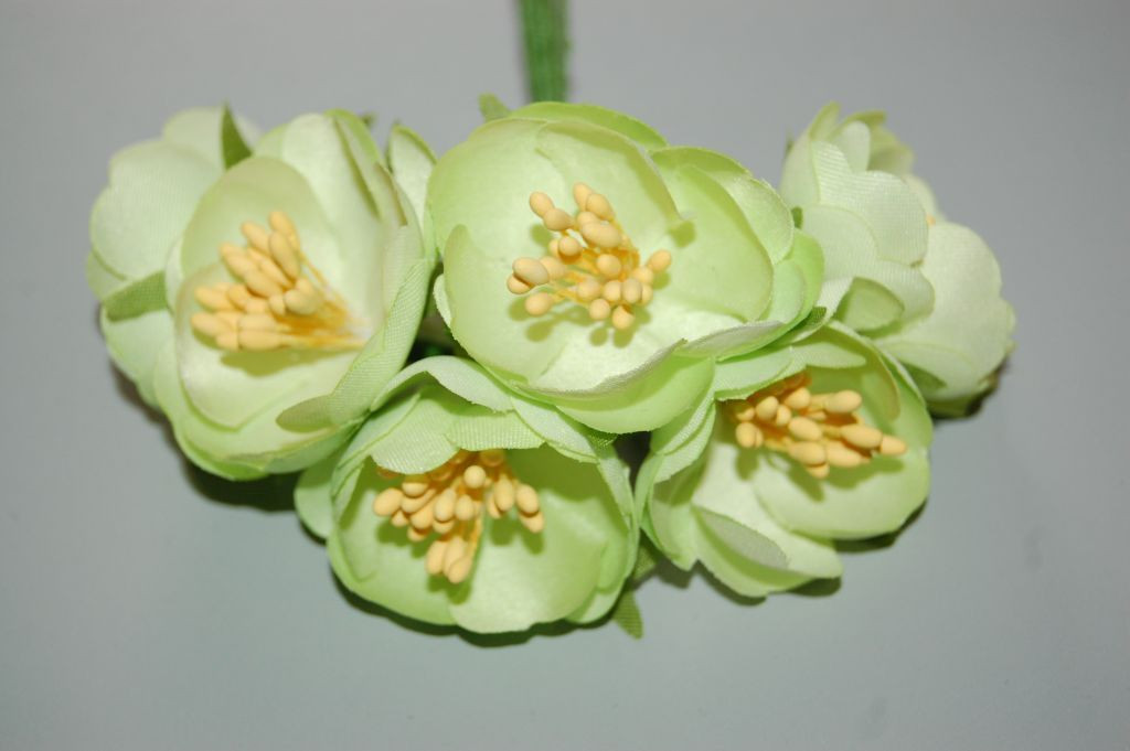 Dance lime green corsage