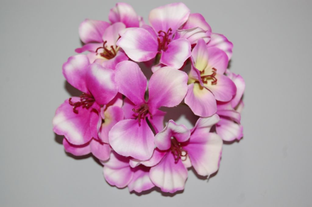 Campanillas lilac corsage