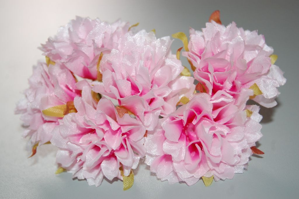 Pink carnations bouquet