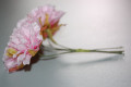 Pink carnations bouquet