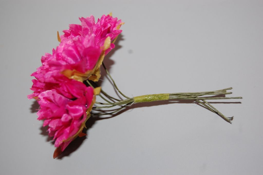 Fuchsia Carnation bouquet