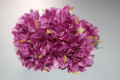 Crimson Carnation bouquets