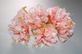 Salmon-coral Carnation corsage 