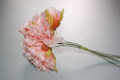 Salmon-coral Carnation corsage 