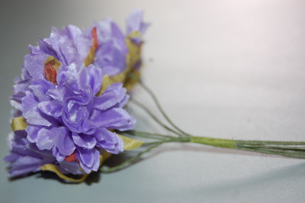Purple carnations bouquet