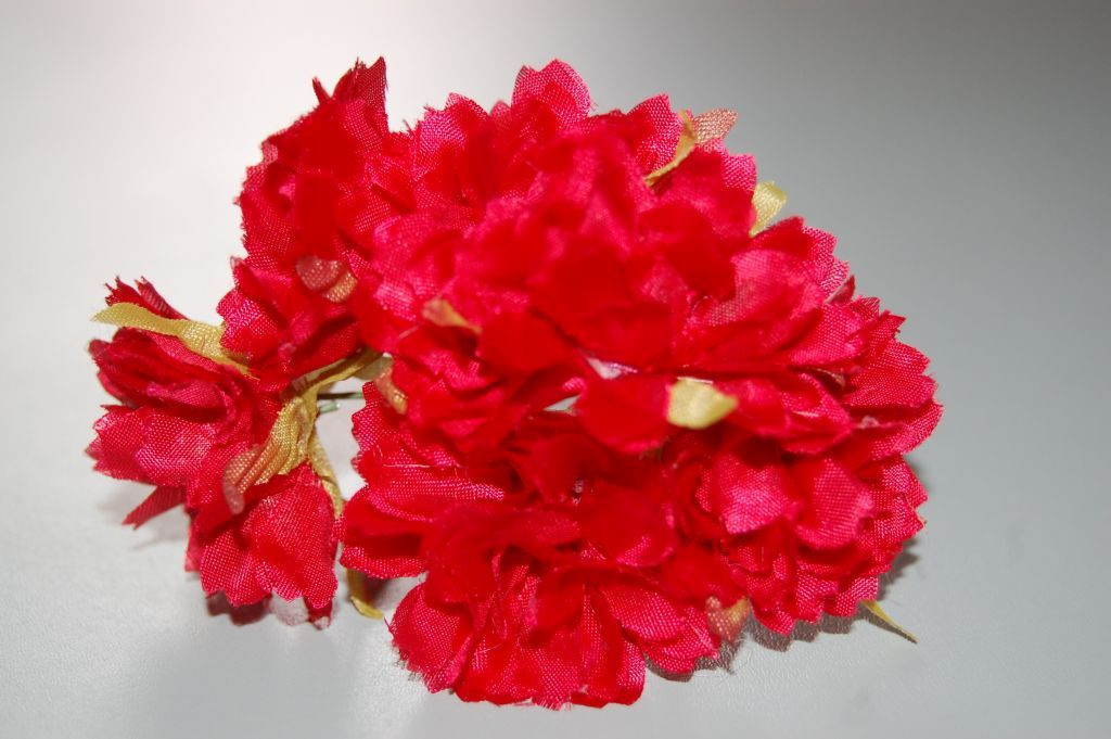 Red Carnation corsage
