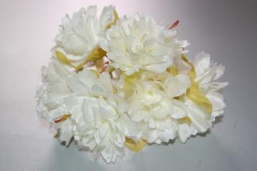 Beige carnations bouquet