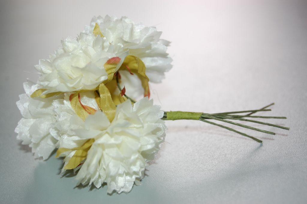 Beige carnations bouquet