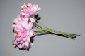 Pink corsage dahlias