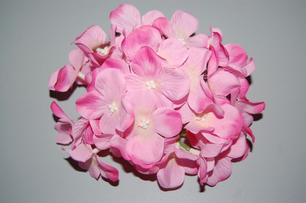 Pink Almonteño bouquet