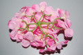 Pink Almonteño bouquet