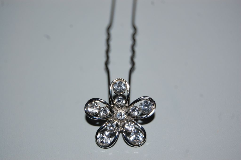 Conjunto 4 horquillas Lidia plata