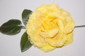 Flor abanico pequeña amarilla
